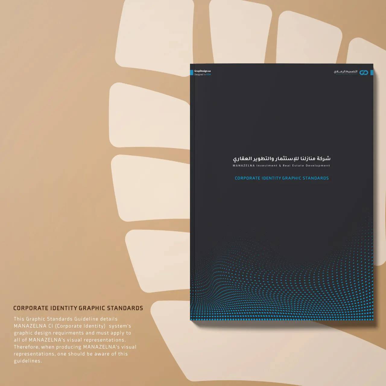 Project image 6