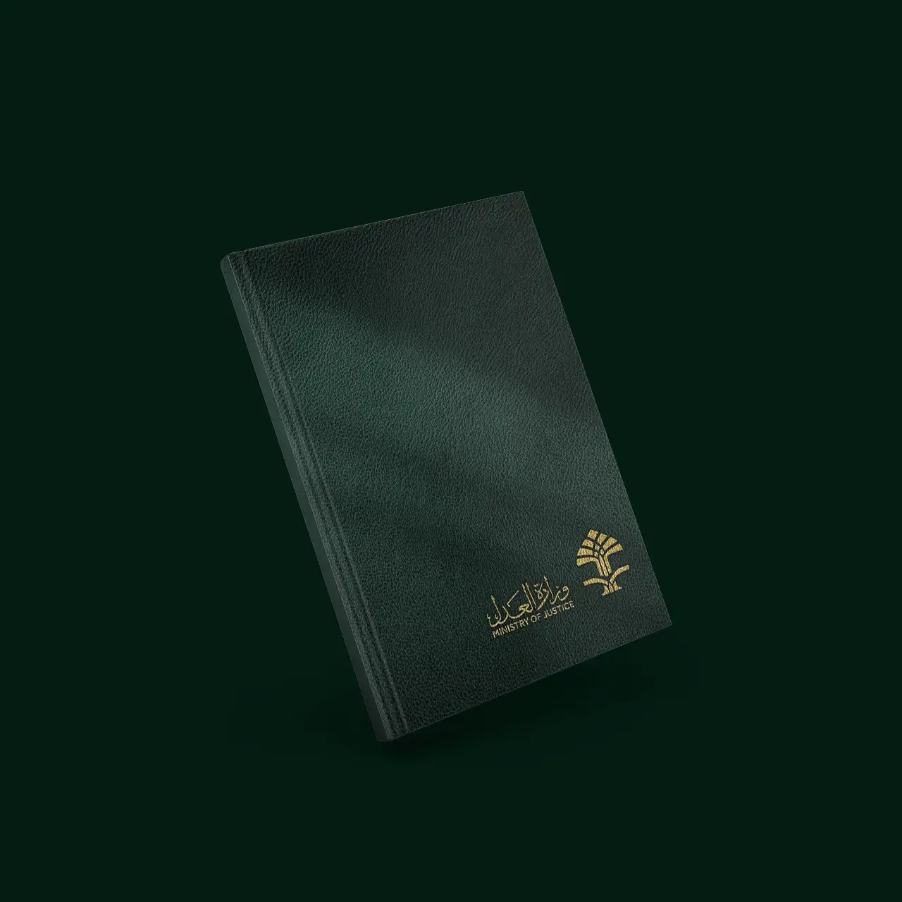 Project image 3