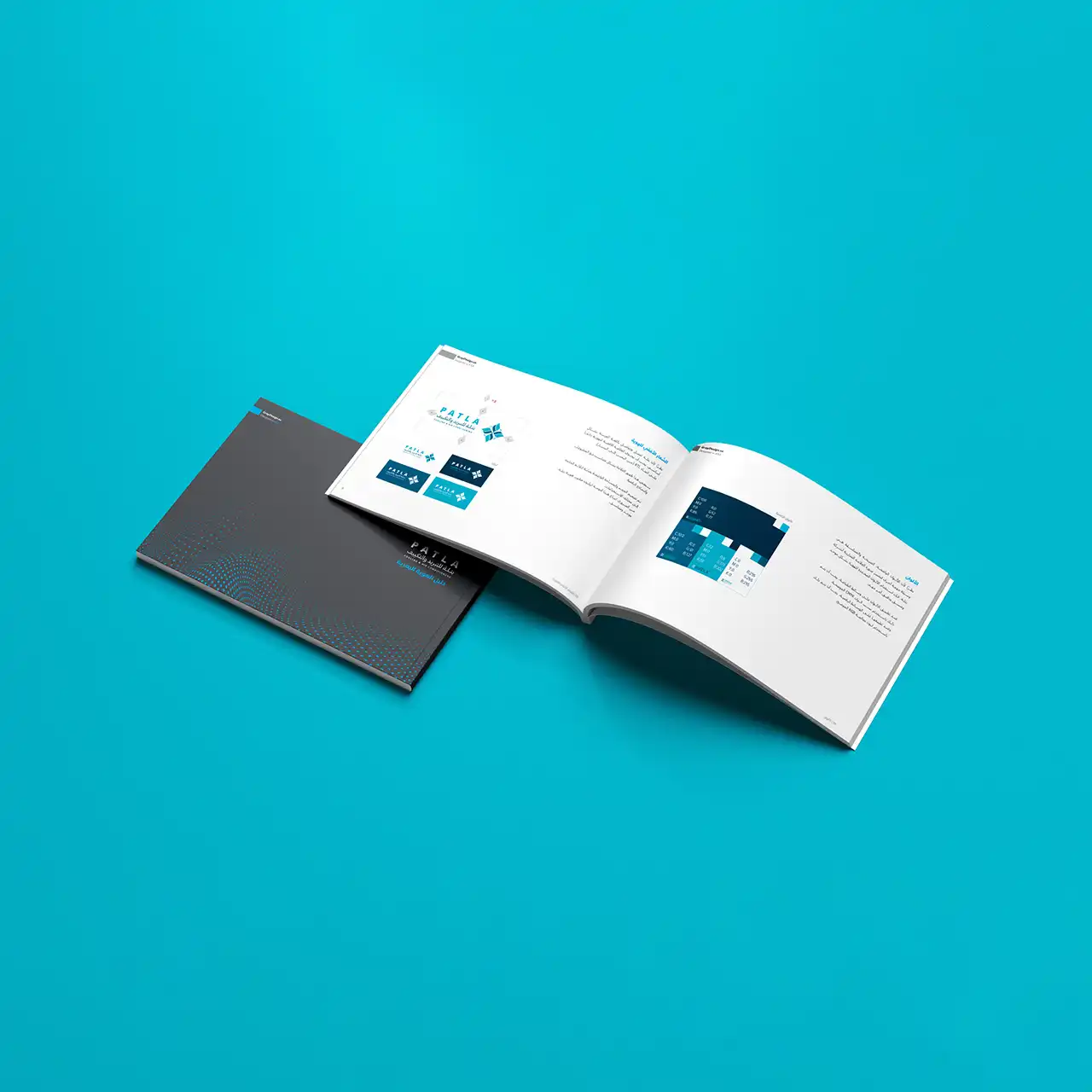 Project image 8