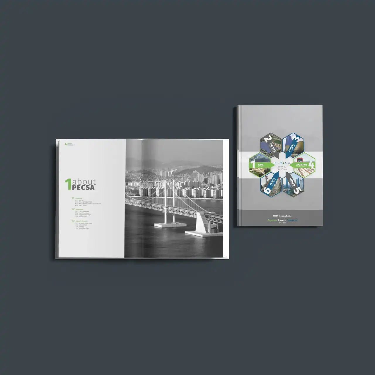 Project image 19