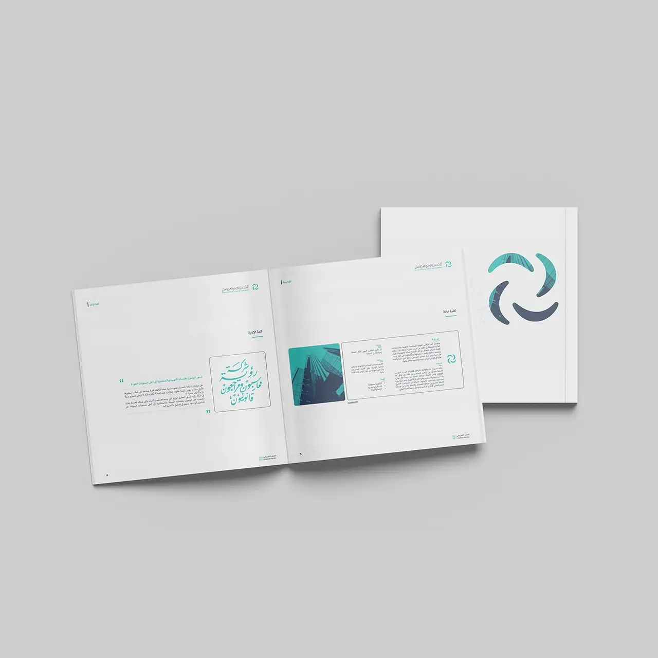 Project image 10