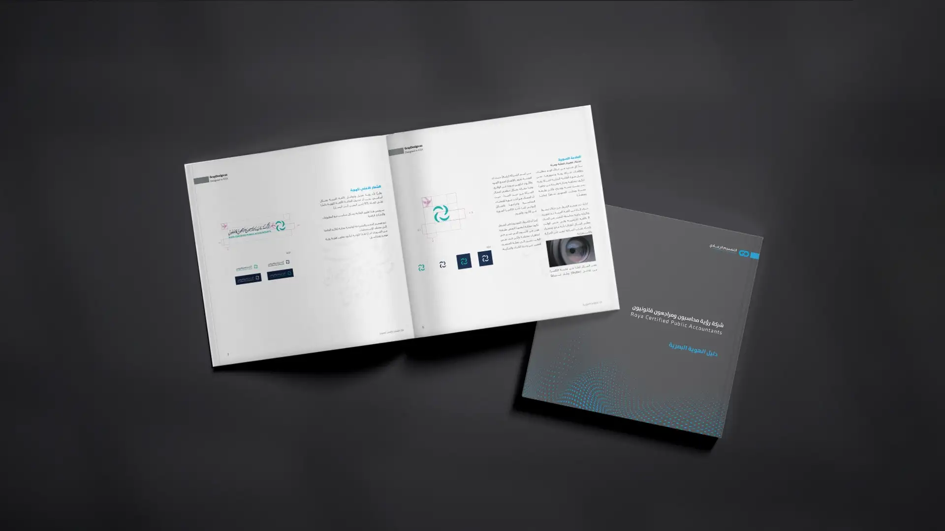 Project image 12