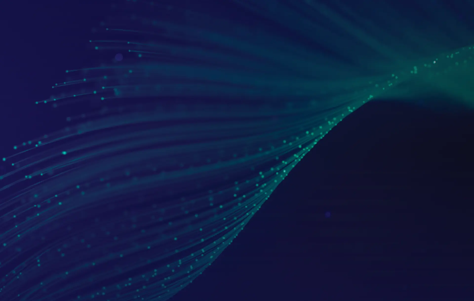 yc project