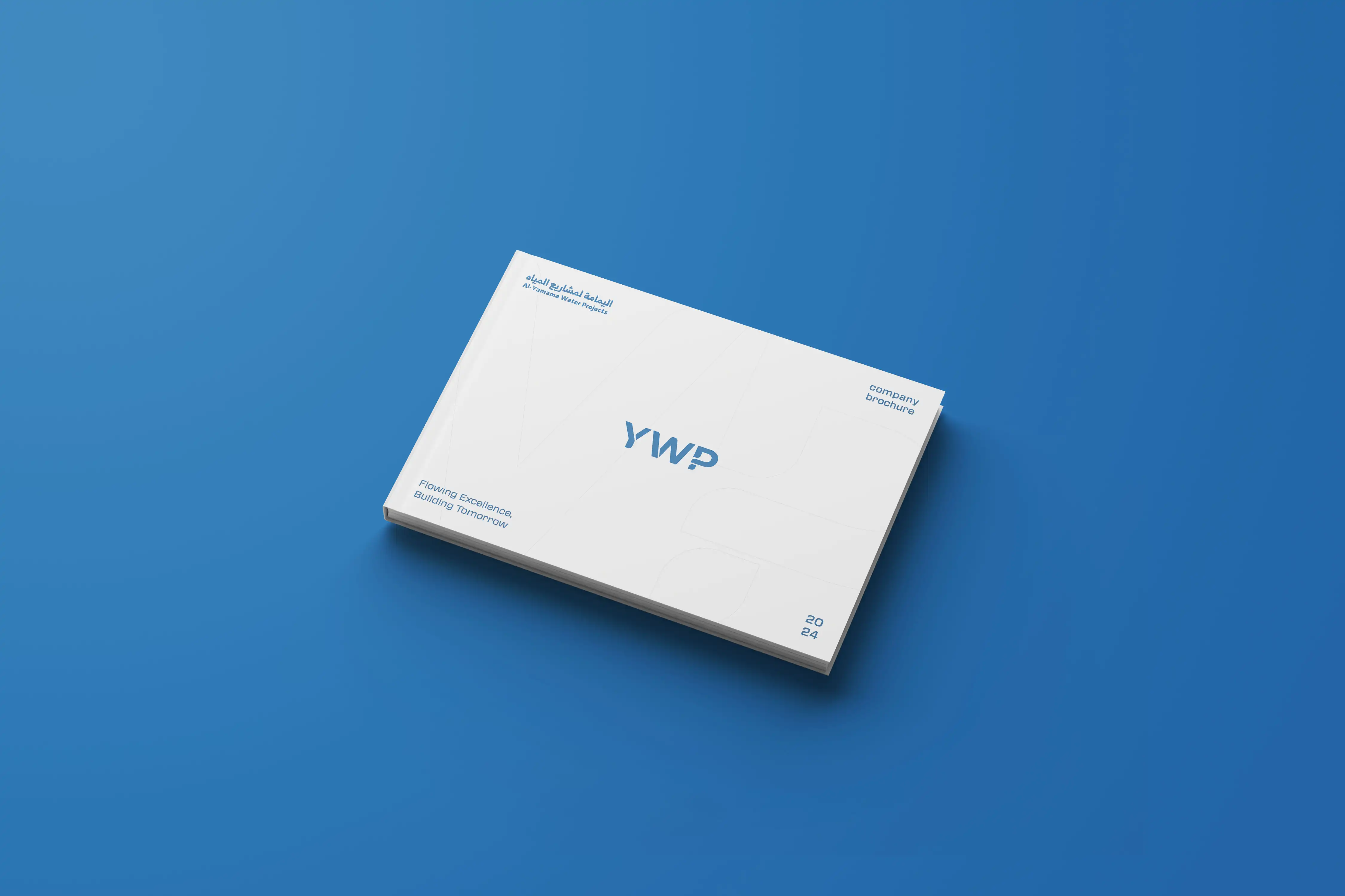 Project image 7