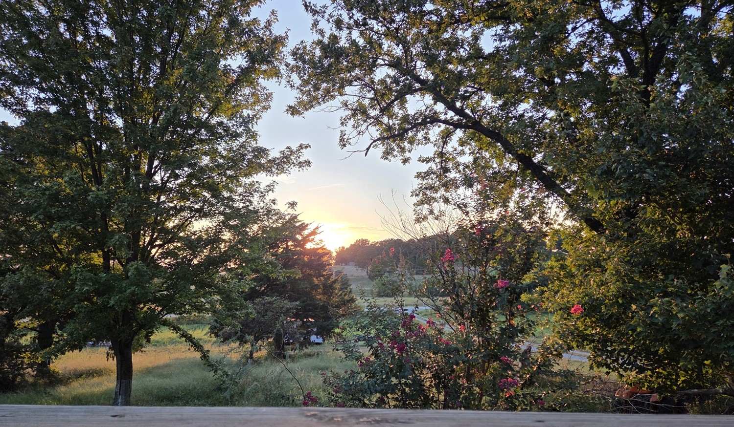 The ﻿Sun is setting on the Farmers Market Season - But not on our Goods & ﻿Services!