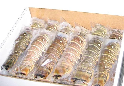 Small Lobster Tail Case 10-12oz/10lb