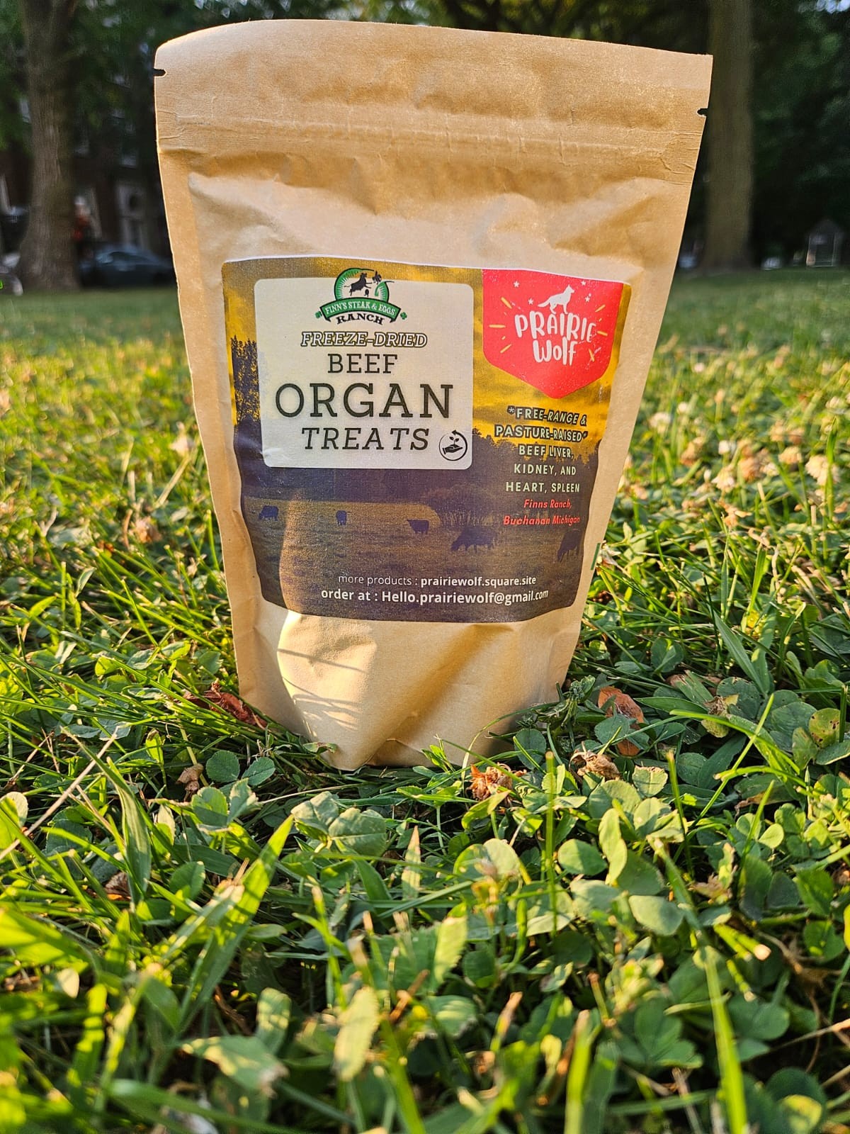 Freeze Dried Organ Treats