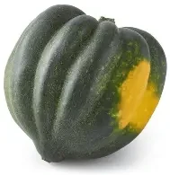 Acorn Squash