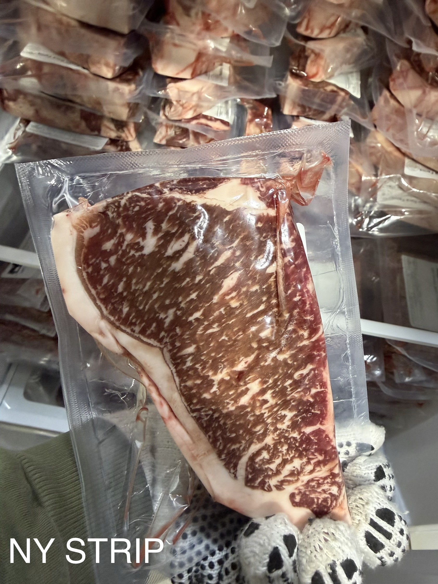 Image alt text
