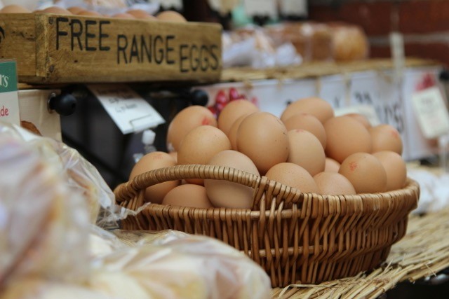 Pastured Eggs