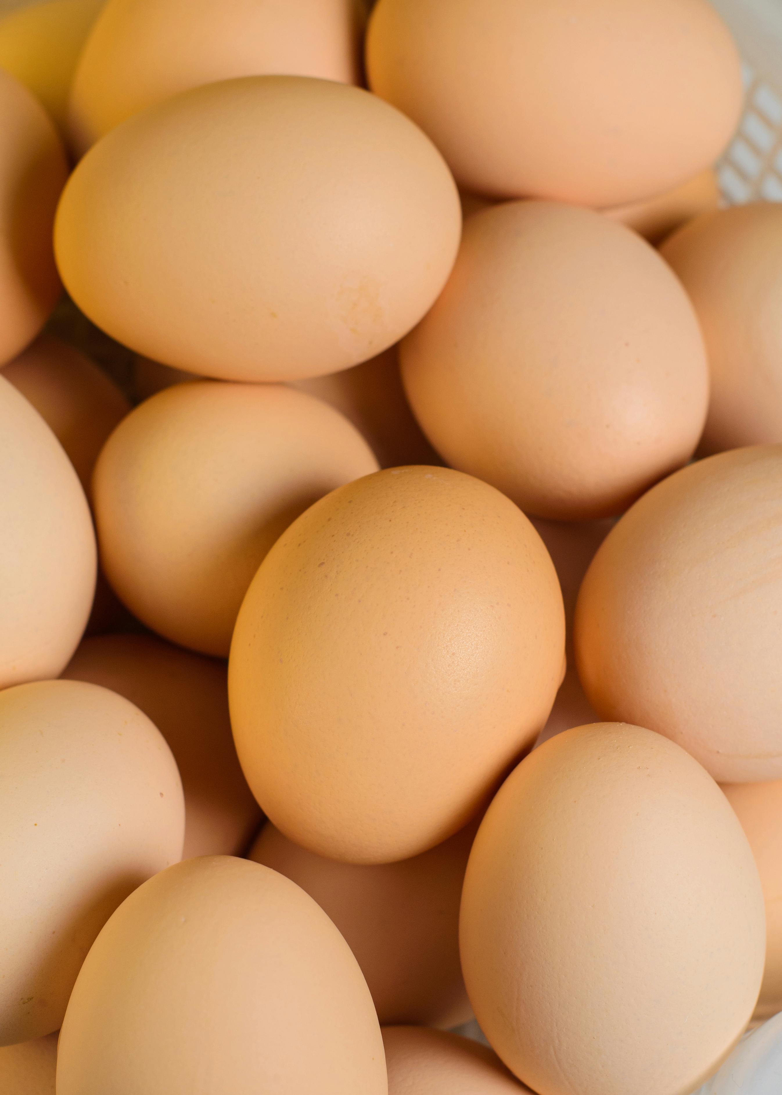 Soy Free Pastured Eggs