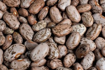 Pinto Beans, 10 lbs.