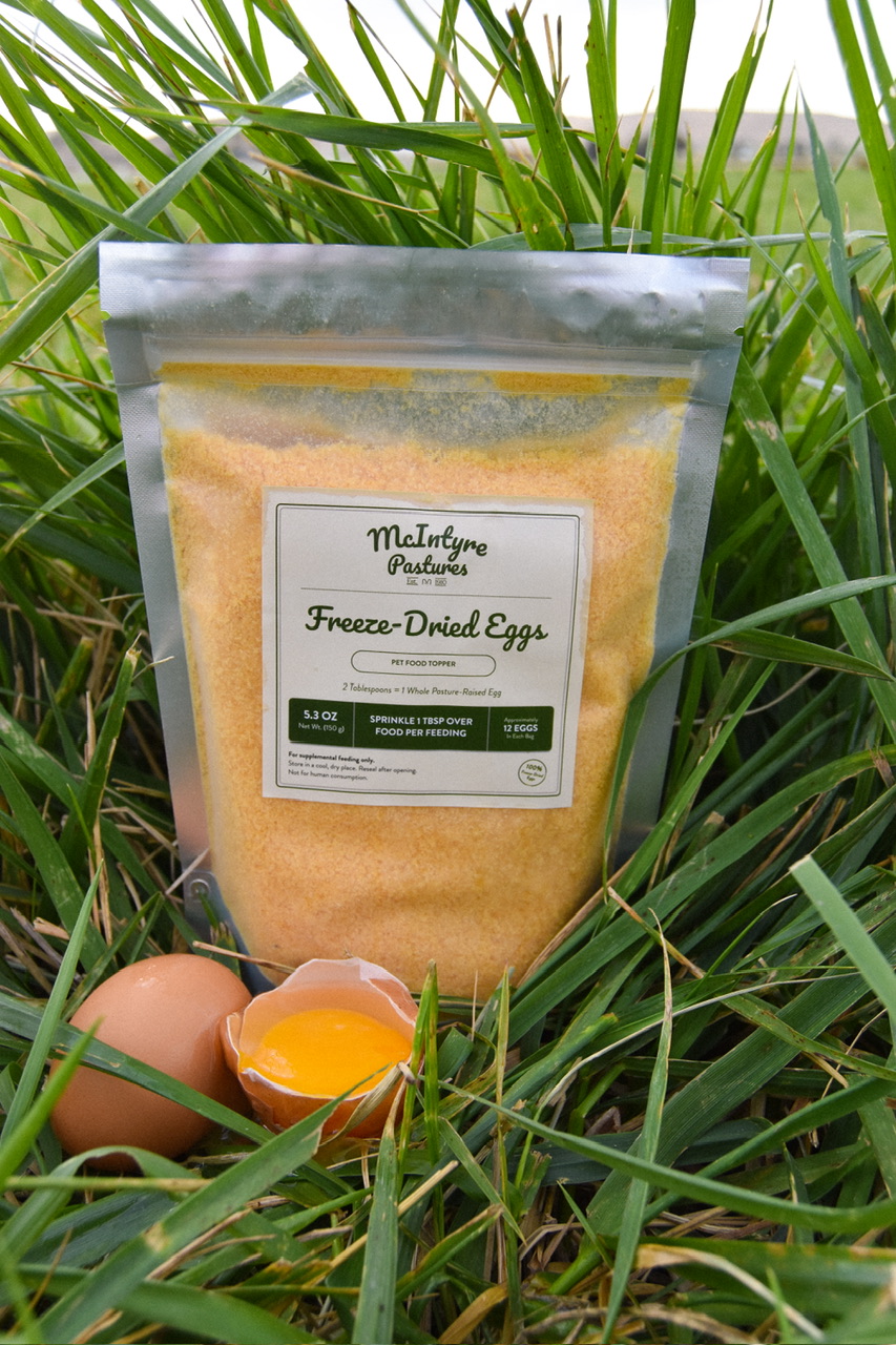 Freeze Dried Eggs- Pet food topper
