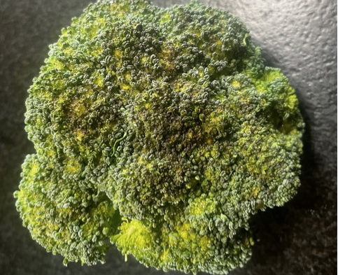 Broccoli, crown  (SBG)