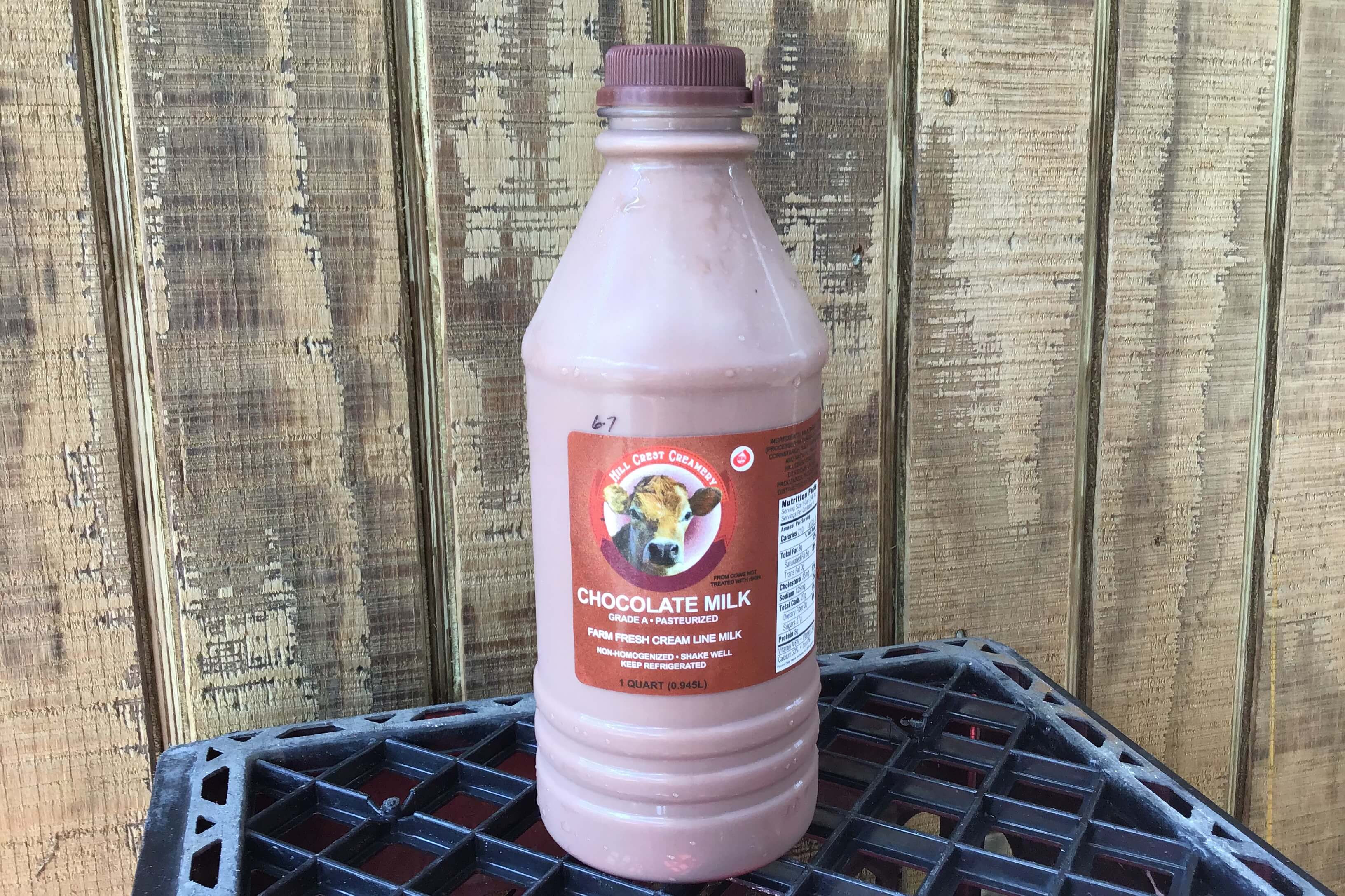 Chocolate Milk qt.