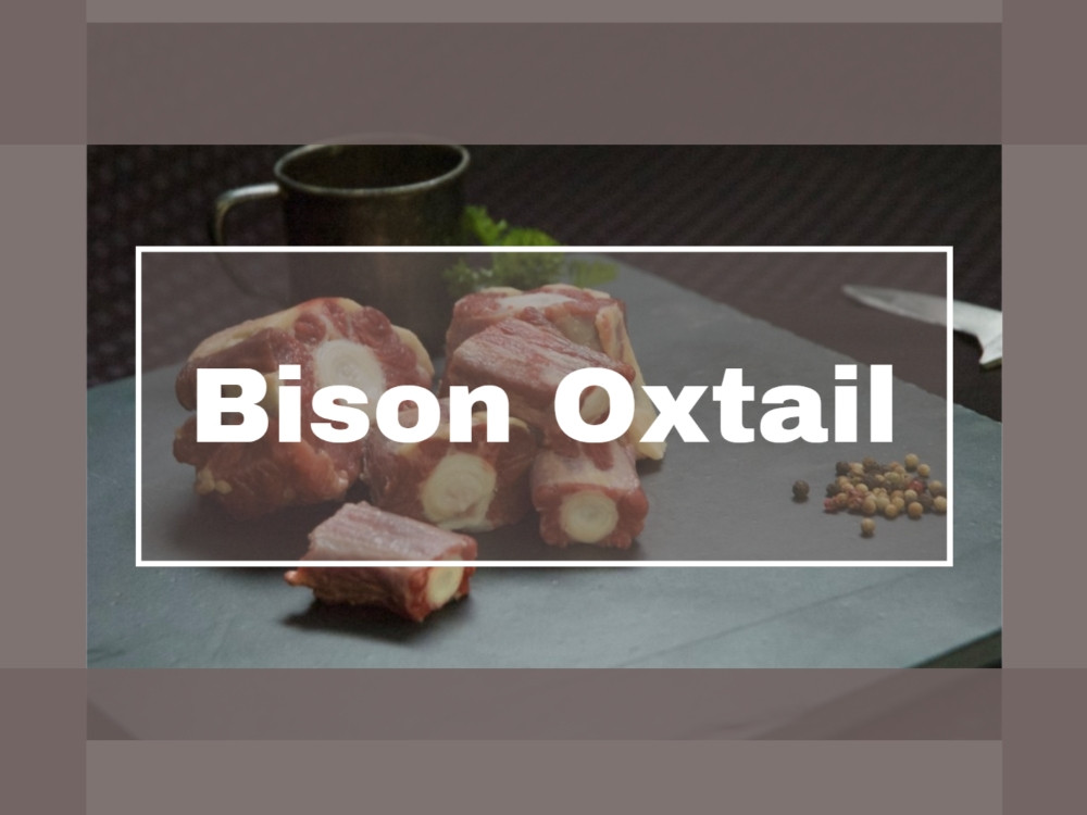 Bison Oxtail