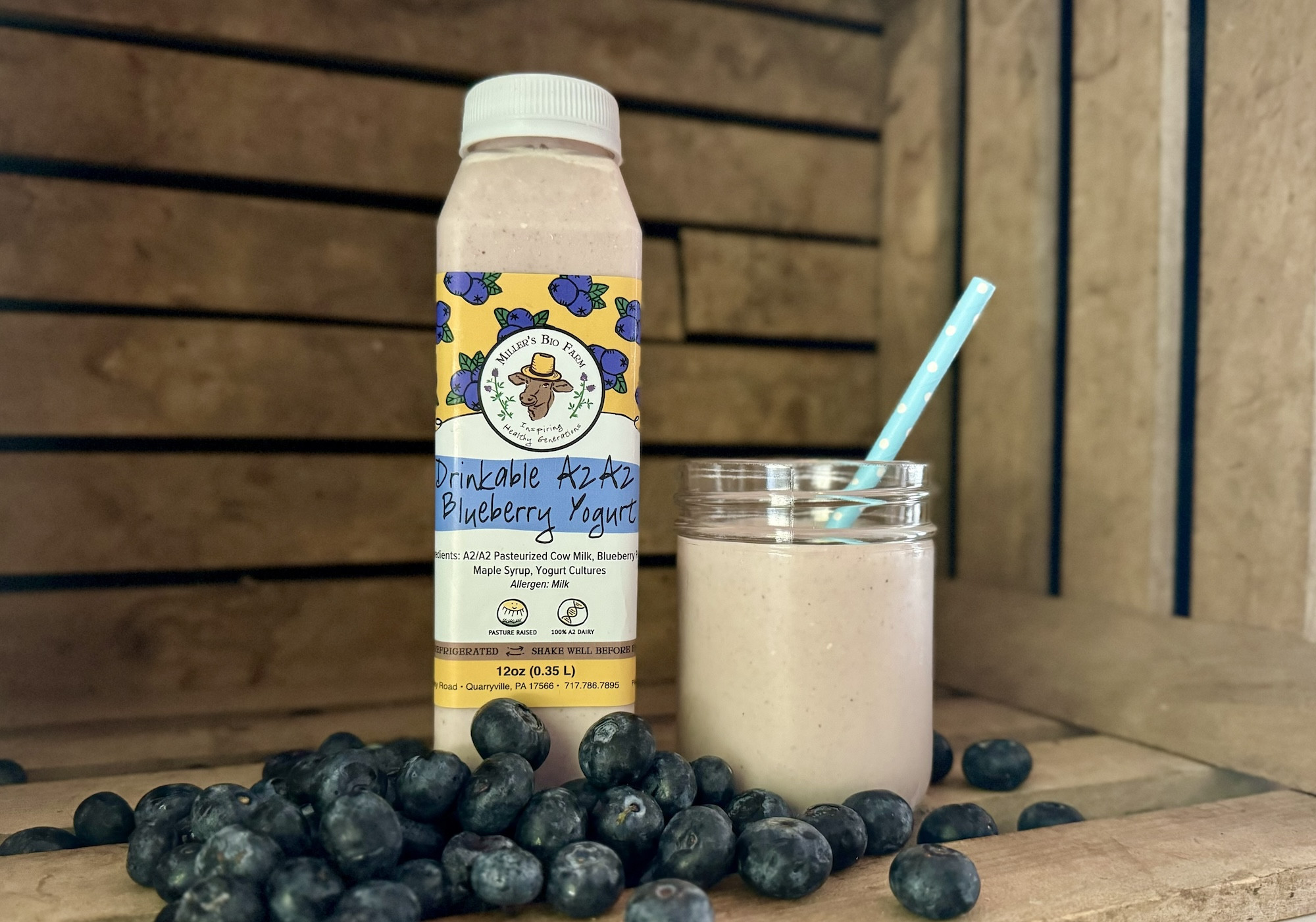 12oz A2/A2 Blueberry Drinkable Yogurt