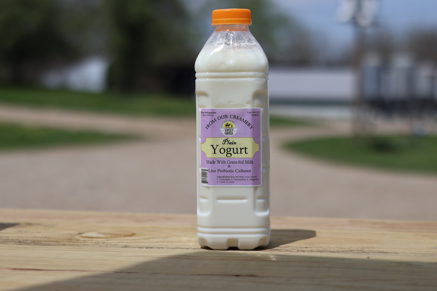 Yogurt, Plain bundle of 5 (Wholesale)