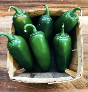 Jalapeno Peppers