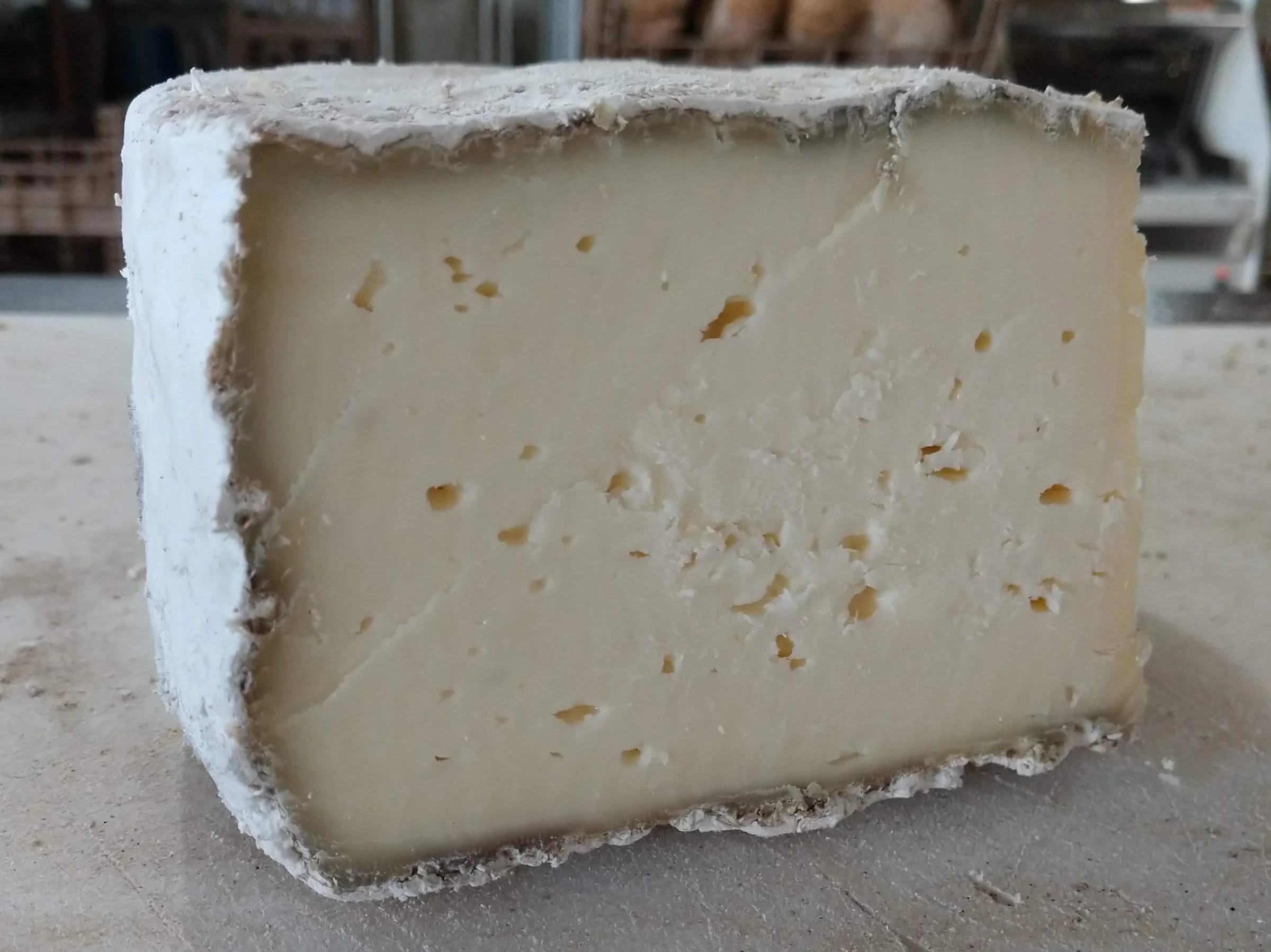 Raw Frolic Cheese
