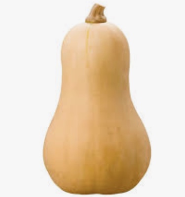 Organic Butternut Squash