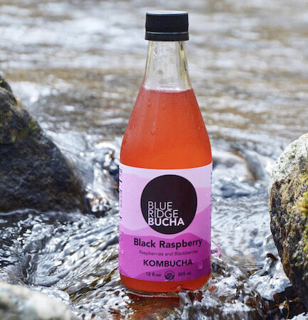 Black Raspberry Kombucha