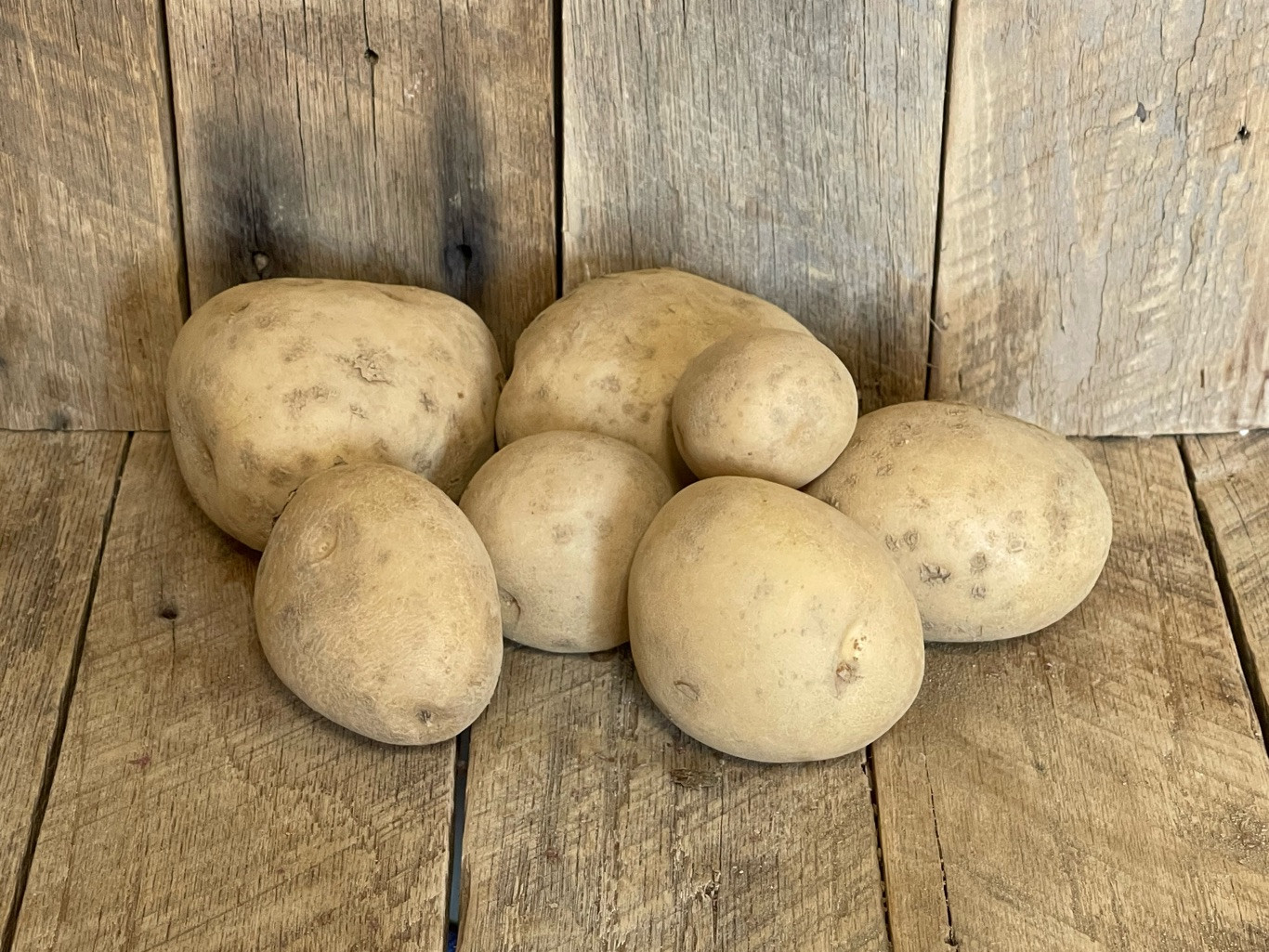 2 lb. Eva Potatoes