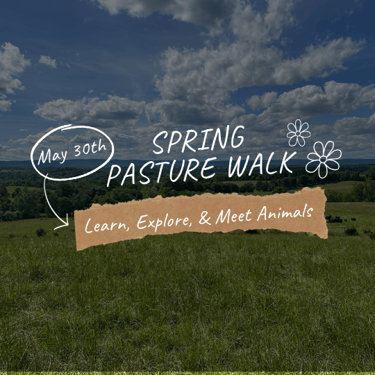 Spring Pasture Walk - Event e-Ticket