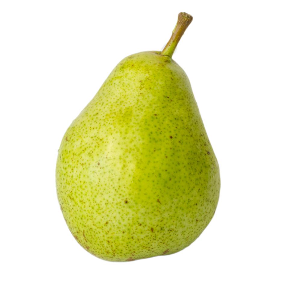 Potomac Pears - Champlain Orchards