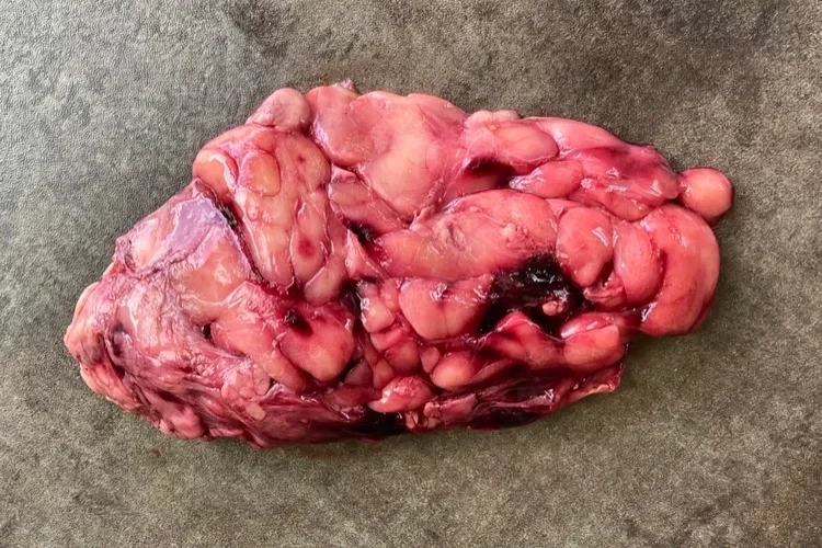 1.0-1.4lb | Beef Sweetbreads