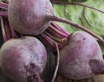 Organic Beets ~1lb