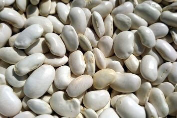 Navy Beans, 10 lbs.
