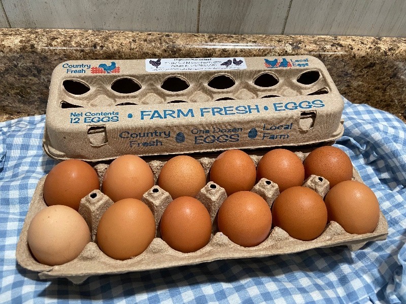 1 Dozen Brown Eggs