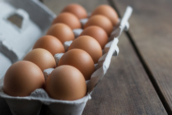 Pastured Pullet Eggs, Nest Select