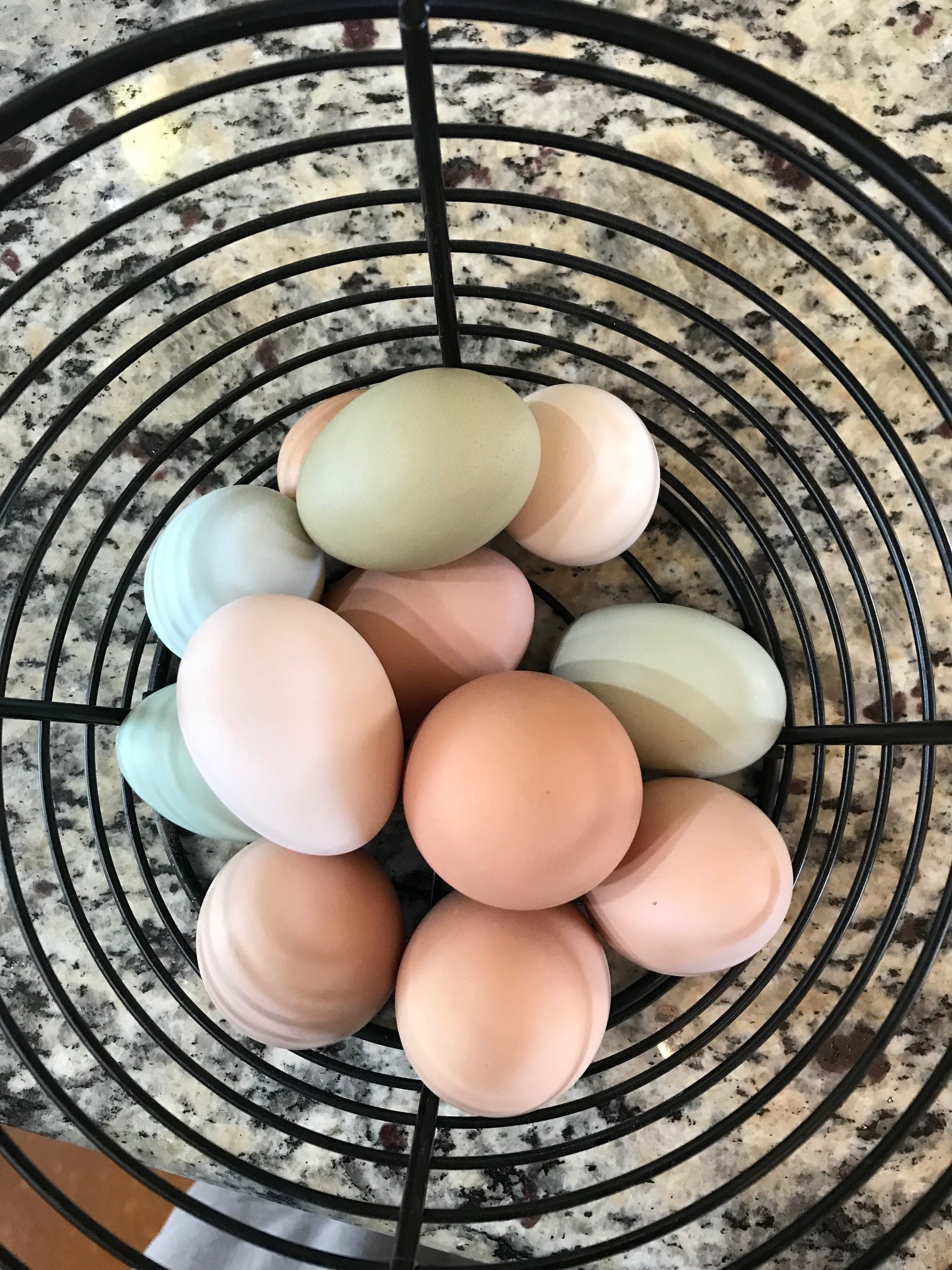 One Dozen Free Range Eggs