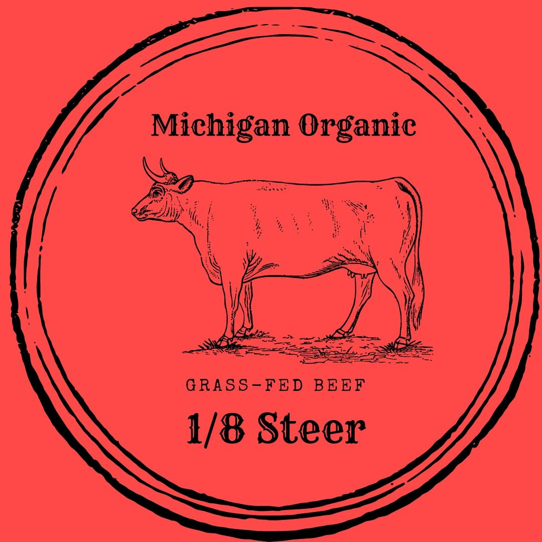1/8th Steer | Zimba Farms