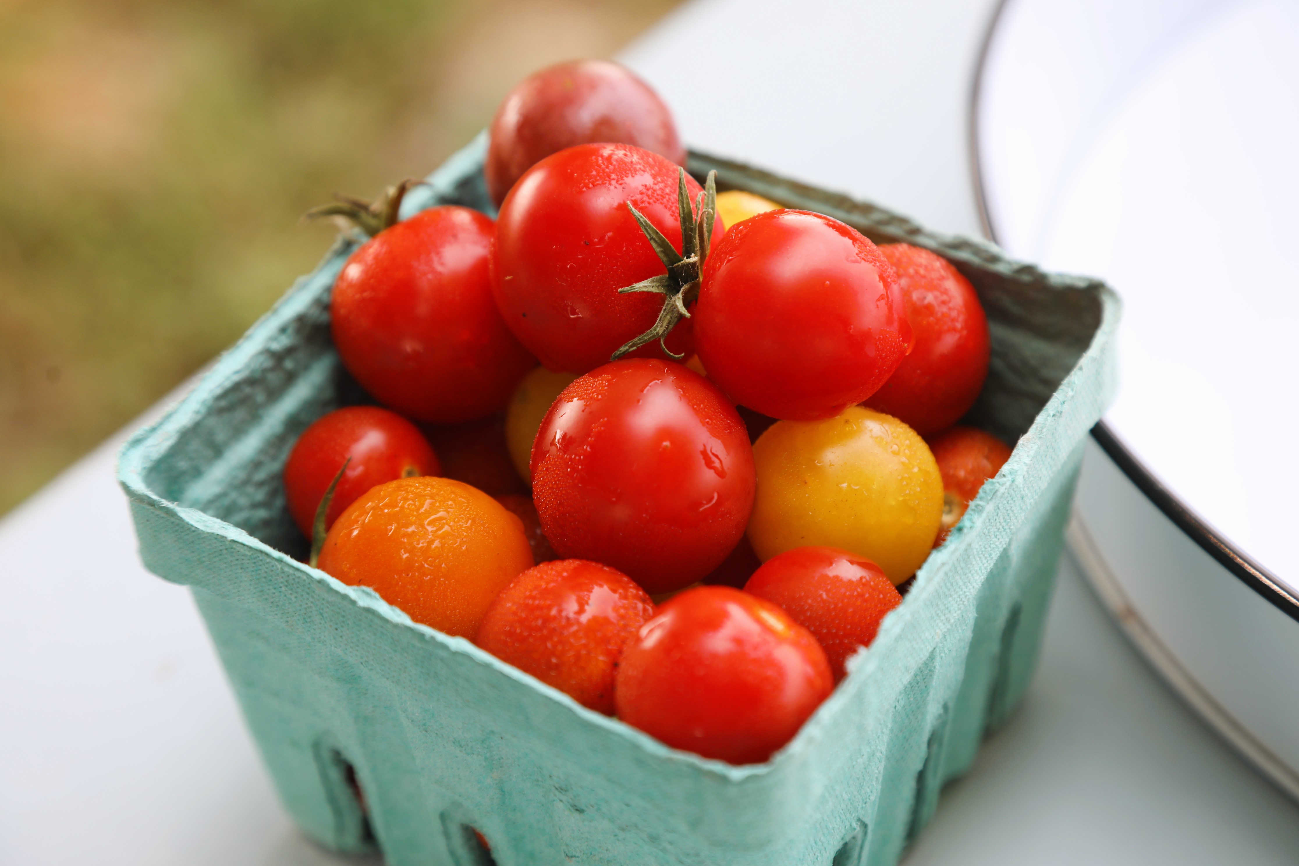 Cherry Tomatoes