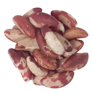 Brazil Nut - Unblanched Medium (Bulk)