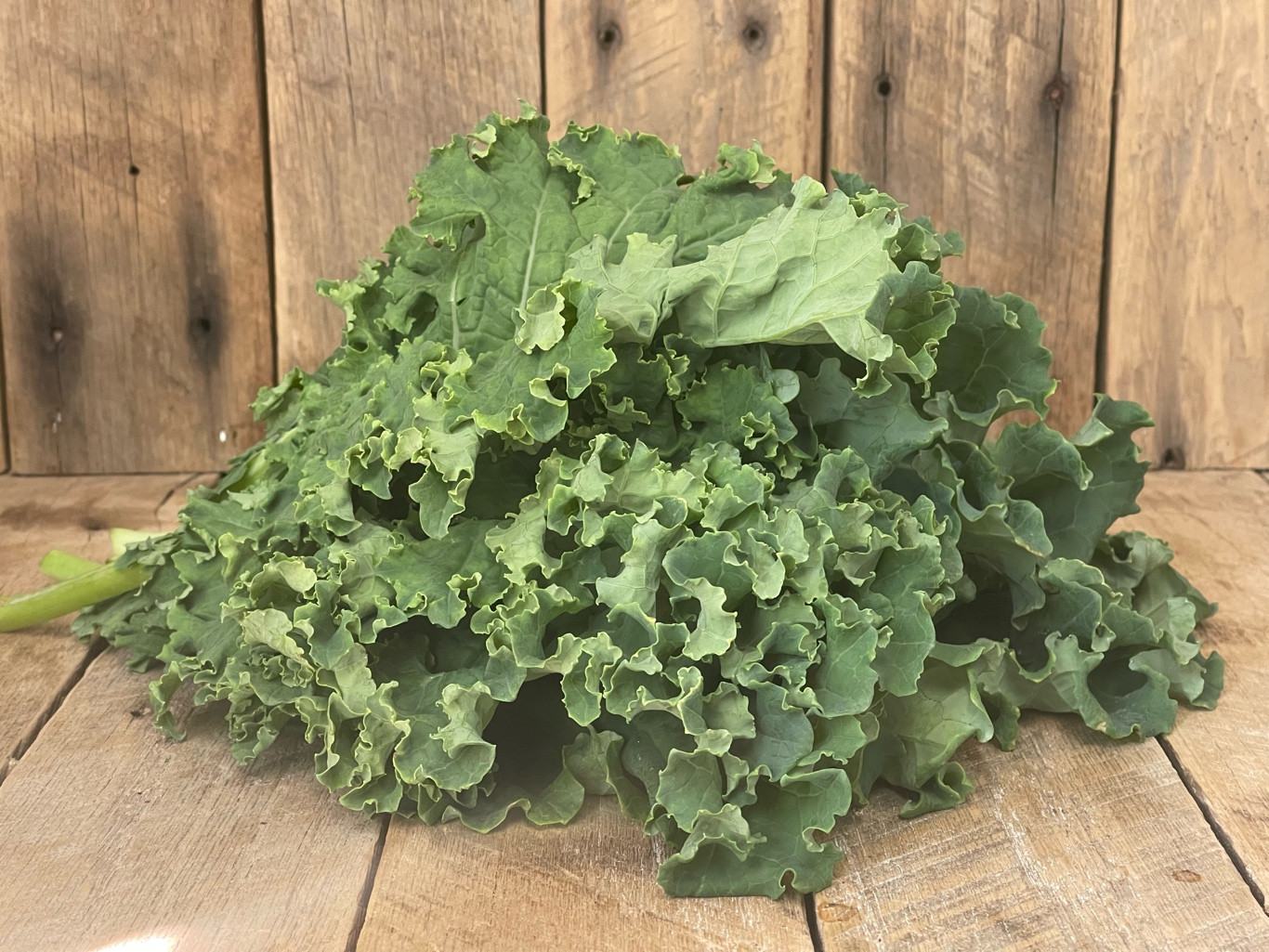 Fresh Kale