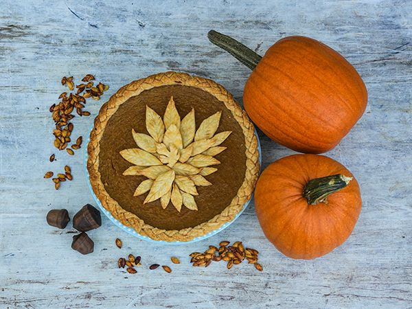 Pie Pumpkin