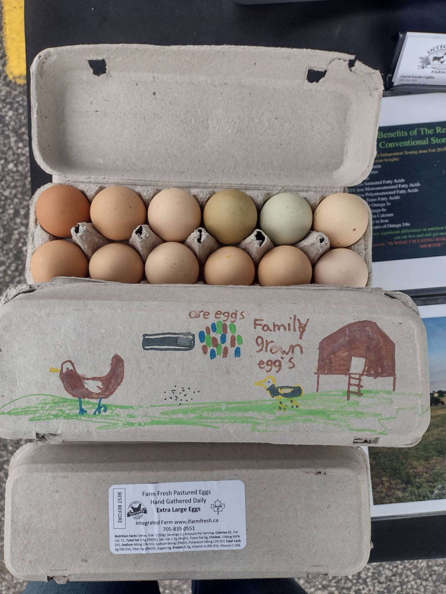Eggs - 1 Dozen Ungraded Pasture Raised Eggs, NON GMO Feed - PICKUP AT FARM ONLY