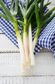 Green Garlic