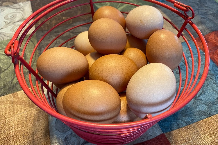Grade AA - Jumbo Brown Eggs