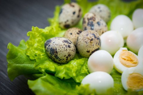 Dozen Quail Eggs Non-GMO, Corn/Soy Free