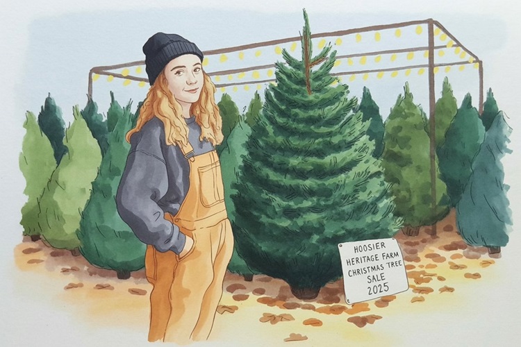 7-8' Fraser Fir Christmas Tree