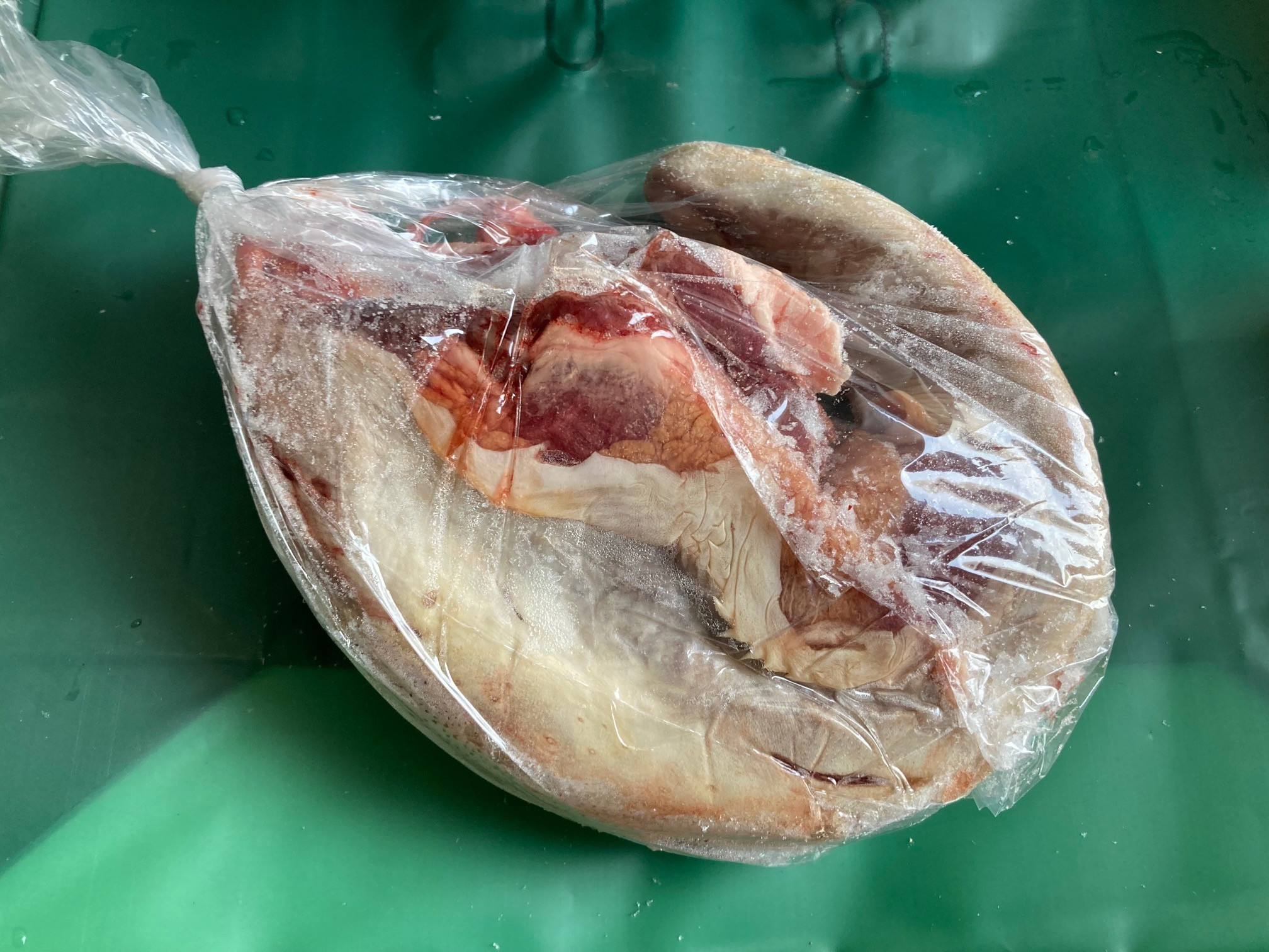Beef - Tongue