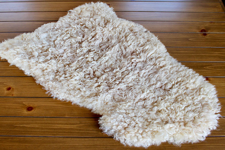 #2411 Lambskin