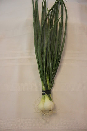 Green Onions (bunch)