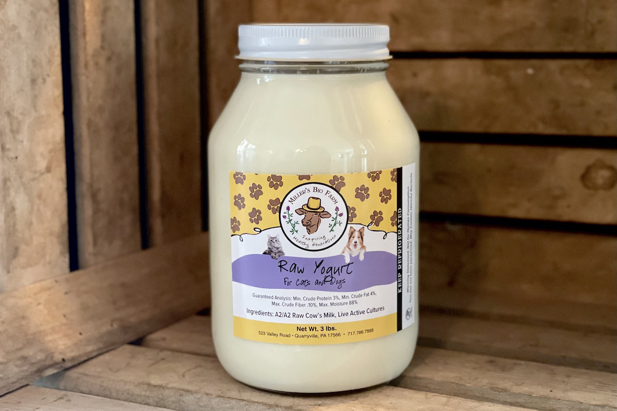 1 quart - Raw A2/A2 Pourable Yogurt