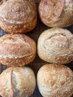 Sourdough Bread, Classic Loaf